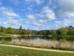 Highgate's Pond (Hampstead Heath, London)